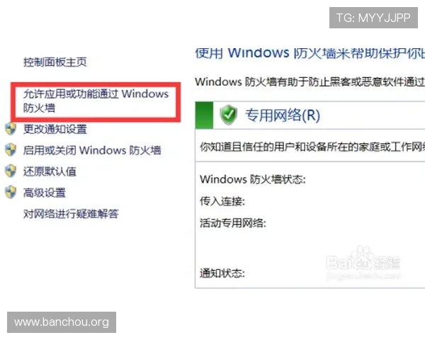欧博官网网站用户评价与口碑反馈，真实体验助你做出明智选择