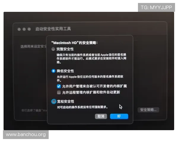 abg欧博旗舰版安全性与稳定性分析：保障玩家账号安全的实用建议