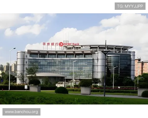 欧博网站开户前必须了解的关键注意事项及操作指南